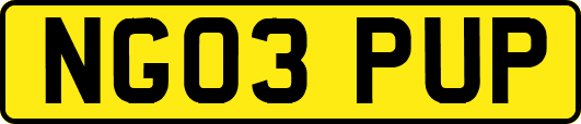 NG03PUP