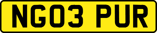 NG03PUR