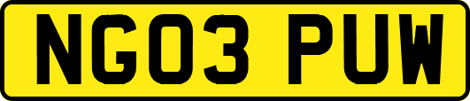 NG03PUW