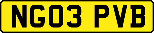 NG03PVB