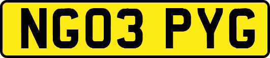 NG03PYG