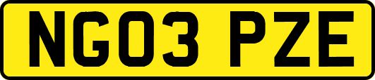 NG03PZE