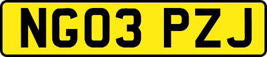 NG03PZJ