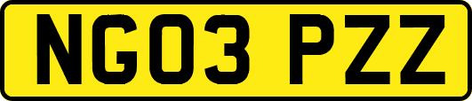 NG03PZZ