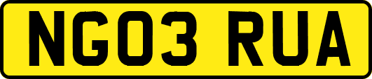 NG03RUA