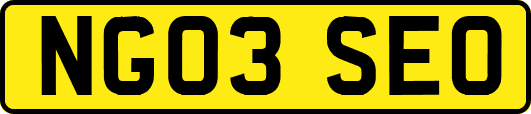 NG03SEO