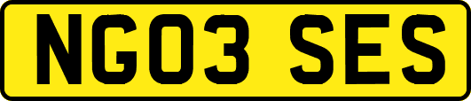 NG03SES