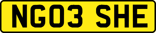 NG03SHE