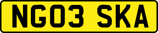 NG03SKA