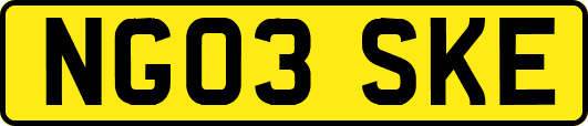 NG03SKE