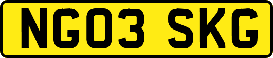 NG03SKG