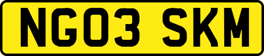 NG03SKM