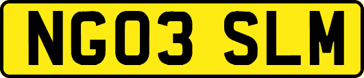NG03SLM