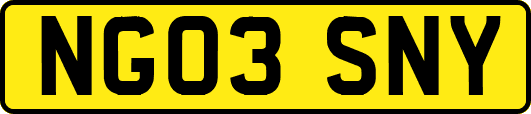 NG03SNY