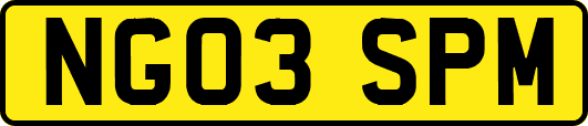 NG03SPM