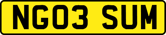 NG03SUM
