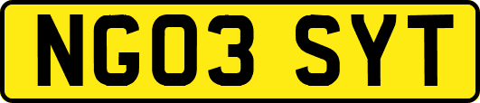 NG03SYT
