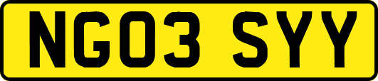 NG03SYY
