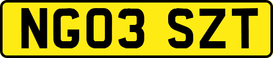 NG03SZT