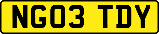 NG03TDY