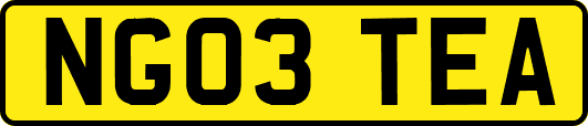 NG03TEA
