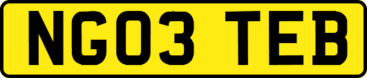 NG03TEB
