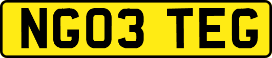 NG03TEG