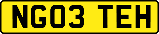 NG03TEH