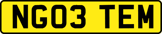 NG03TEM
