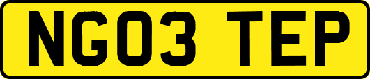NG03TEP