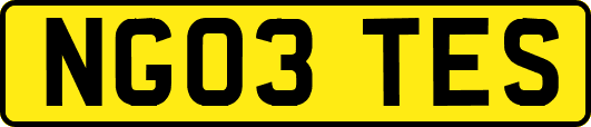 NG03TES