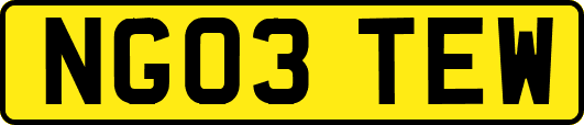 NG03TEW