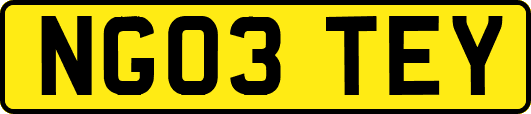 NG03TEY