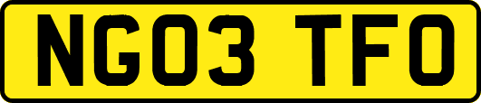 NG03TFO