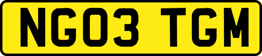 NG03TGM