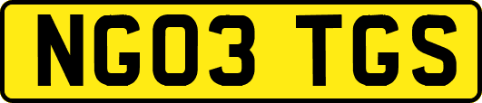 NG03TGS