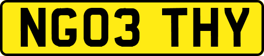 NG03THY