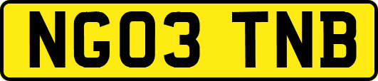 NG03TNB
