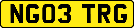 NG03TRG