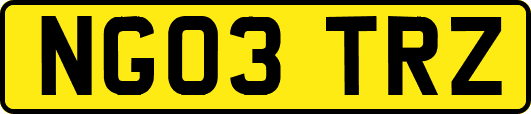 NG03TRZ