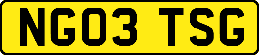 NG03TSG