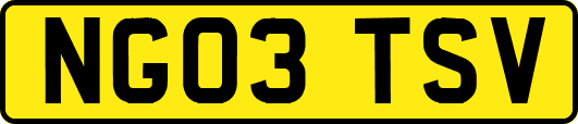 NG03TSV