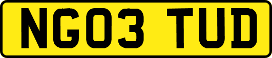 NG03TUD