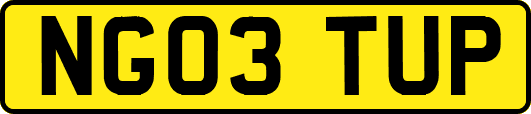 NG03TUP