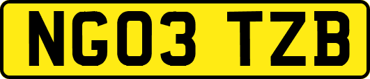 NG03TZB