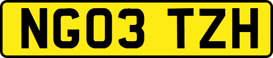 NG03TZH