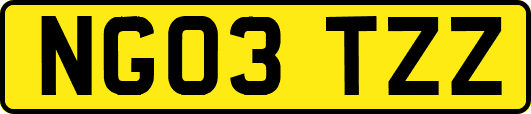 NG03TZZ