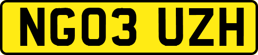 NG03UZH