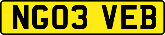NG03VEB