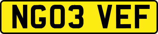 NG03VEF